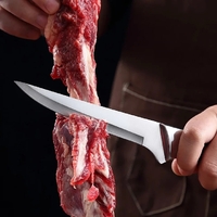 Kitchen Knife 