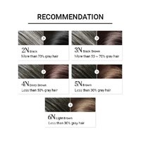 Mise En Scene Grey Hair 4N