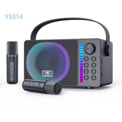 YS-314 Cute Karaoke with Two Microphones / TT-13