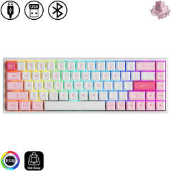 3068B Plus - Prunus Lannesiana(Akko / Keyboard)