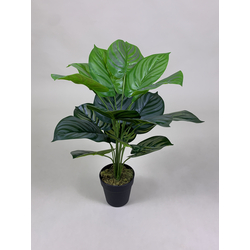 Artificial Plant - Calathea
