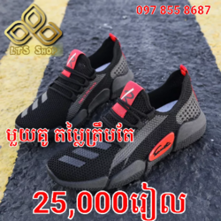 ស្បែកជើងប៉ាតា 01