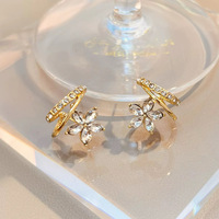 Woman's Fashion Earrings