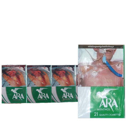 ARA Menthol - 10 Packs 