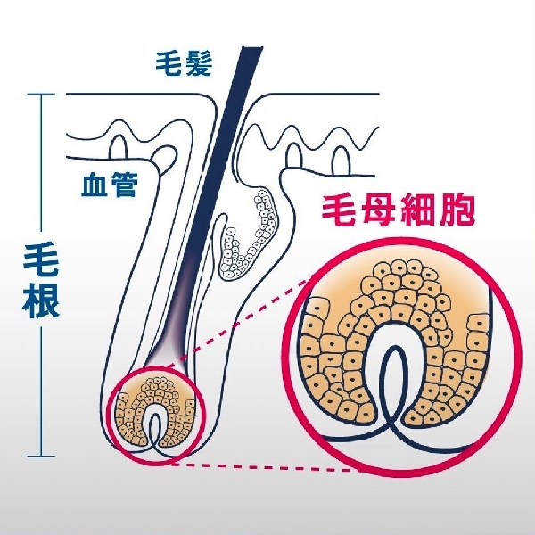 YANAGIYA Hair Tonic Orange