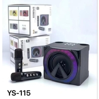 YS-115 Mini Karaoke