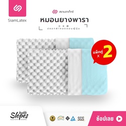 🇹🇭 BUY 1 GET 1 FREE - Siam Latex Double Slopes Pillow Colorful Zipper Cover Japanese Cotton (100%) K2Colorful Blue Sky