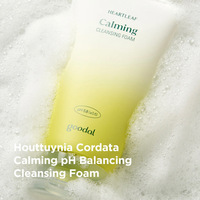 Goodal Houttuynia Cordata Calming pH Balancing Cleansing Foam