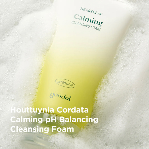 Goodal Houttuynia Cordata Calming pH Balancing Cleansing Foam