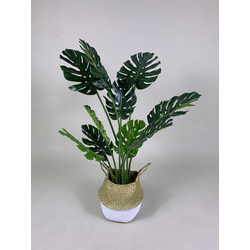 Artificial Plant - Monstera w/Rattan Basket