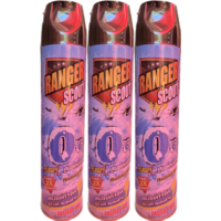 Ranger Scout 600ml - 3 Bottles