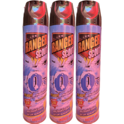 Ranger Scout 600ml - 3 Bottles