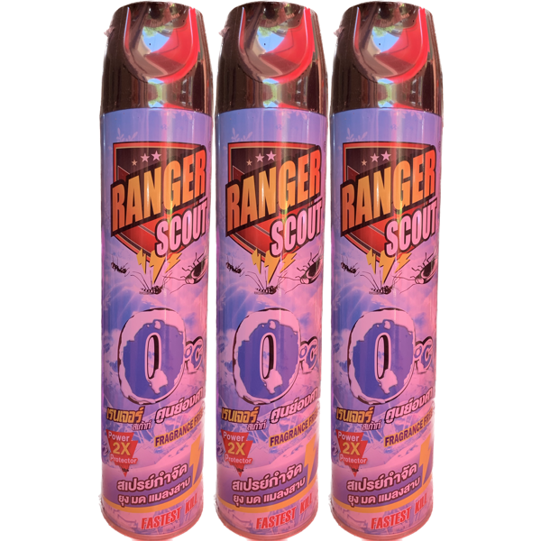 Ranger Scout 600ml - 3 Bottles