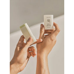 BEAUTY OF JOSEON Matte Sun Stick Mugwort + Camelia SPF50+ PA++++ 
