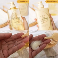 Tsubaki Premium Repair shampoo and Conditioner Set