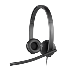 Logitech USB Headset Stereo H570e (981-000574).