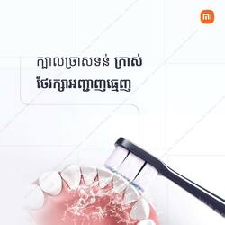 ច្រាសដុសធ្មេញឆ្លាតវៃ Xiaomi Electric Toothbrush T700