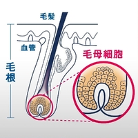 YANAGIYA Hair Tonic Mint