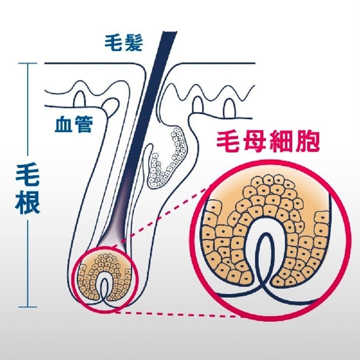 YANAGIYA Hair Tonic Mint