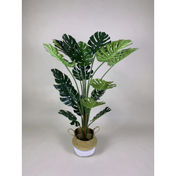 Artificial Plant - Monstera 150cm with Rattan Basket