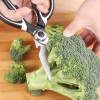 Stainless Steel Kitchen Scissors 
