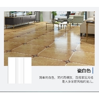 Silicone Sealant 100g