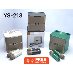 YS-213 Karaoke With 2 Microphones