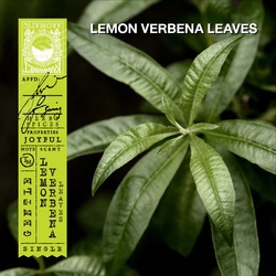 🇹🇭 KARMAKAMET Lemon Verbena Leaves Original Hand Sanitizer Gel 60ml