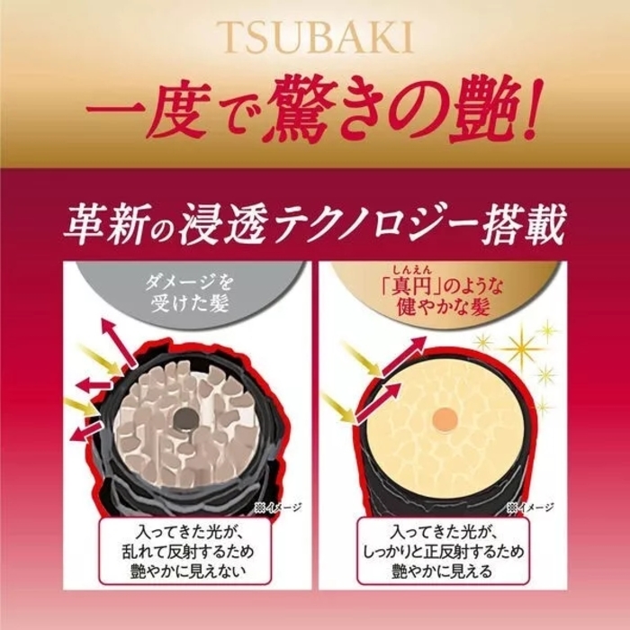 Tsubaki Premium Moist shampoo & Treatment Set