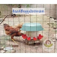 តំណក់ទឹកអូតូសំរាប់មាន់ទា (1 កញ្ចប់​ = 10 គ្រាប់)